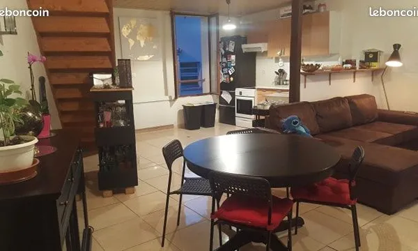 GRAND DUPLEX F2 bis 65m2 MONTARGIS CENTRE