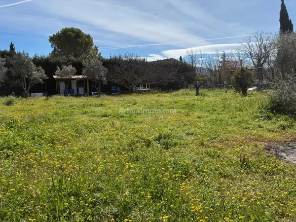 Terrain agricole