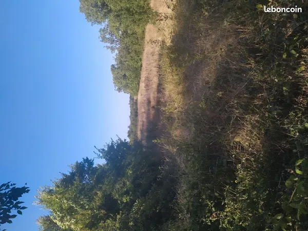 Terrain en vente