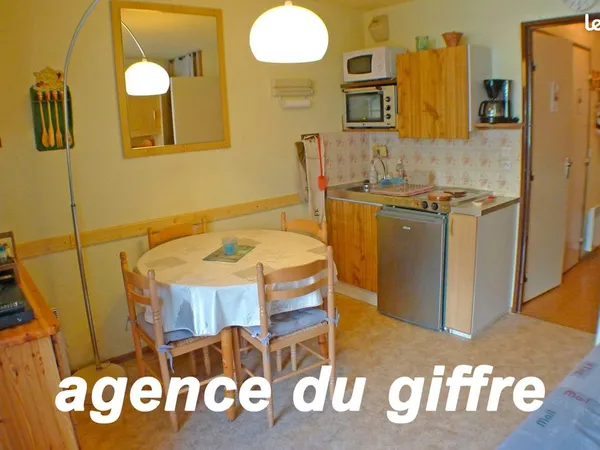 Studio 1 pièce 17 m²