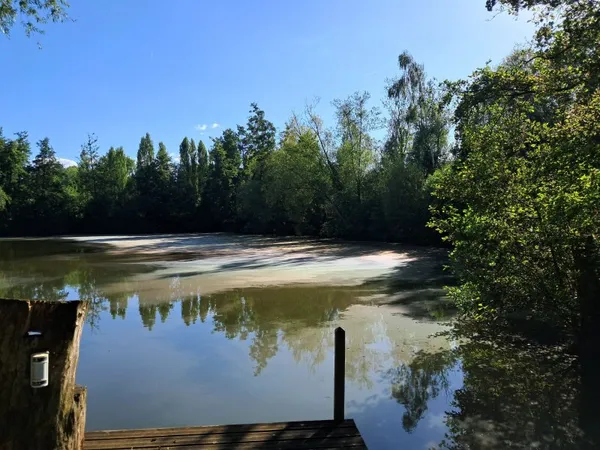 Vends terrain arboré - 79000m²