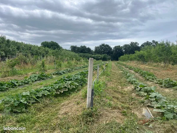 Potager et terrain de loisir