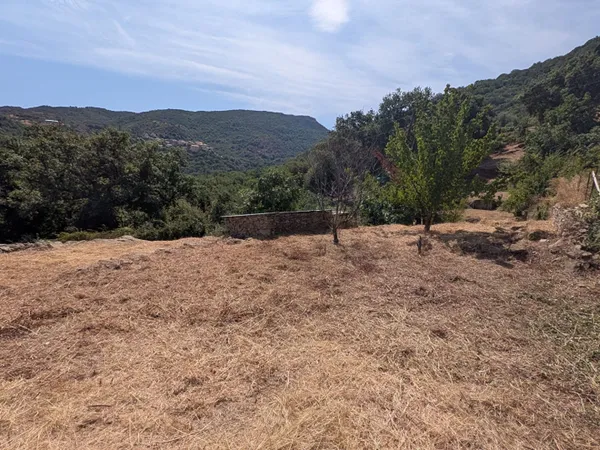 Terrain à Sorio 2982 m2