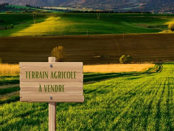 Terrain 15123 m²