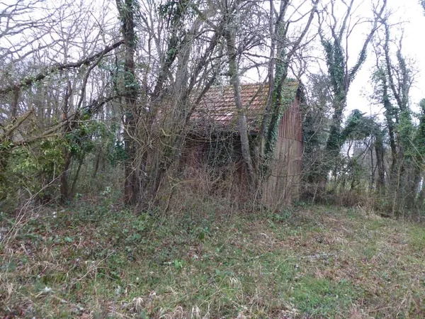 Terrain Vente Villiers-Saint-Benoît 519m² 30000€