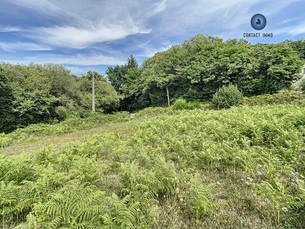 Terrain 3141 m²