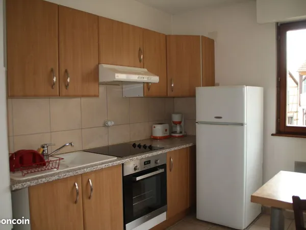 À louer - F2 meublé de 46 m² avec parking souterrain - Colmar