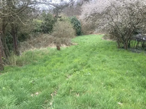 Terrain 1433 m²