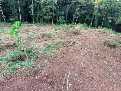À vendre Terrain de 666 m² à Ducos