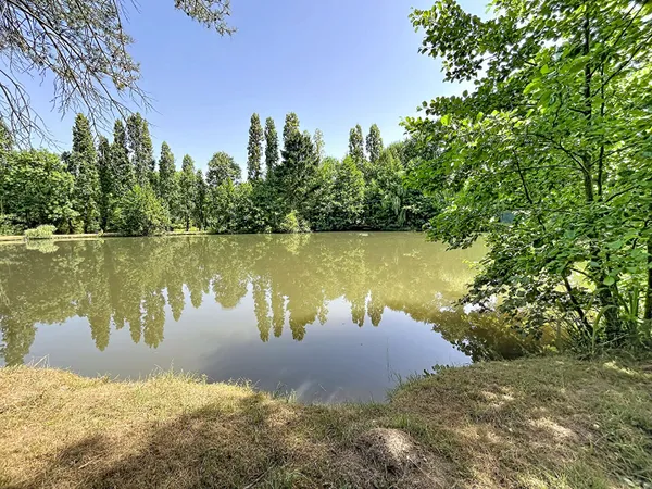 Terrain 5550 m²