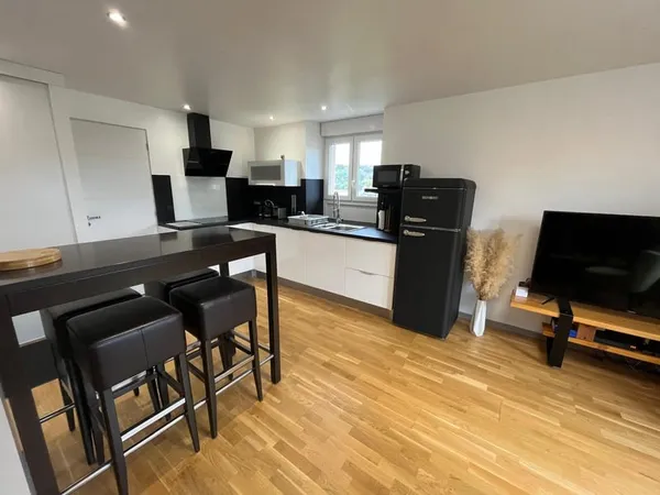 Superbe appartement T2 rénové, garage