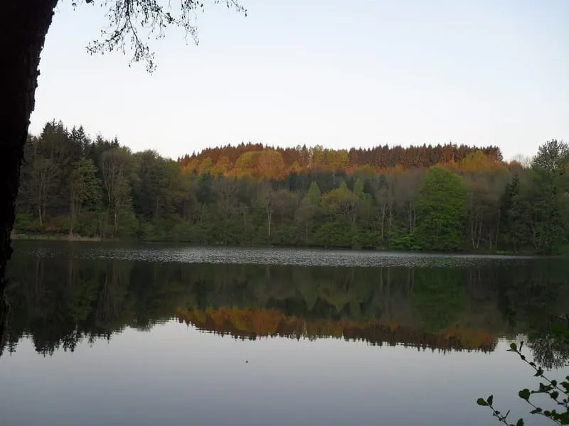 Photo 32