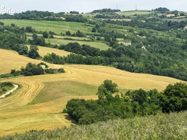 Terrain 956 m²
