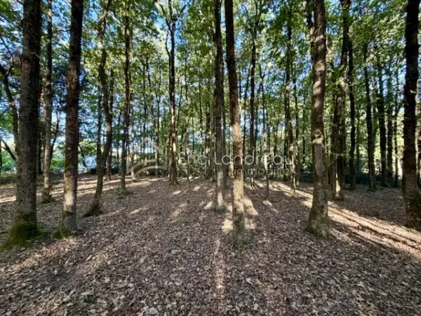 Terrain 824 m²