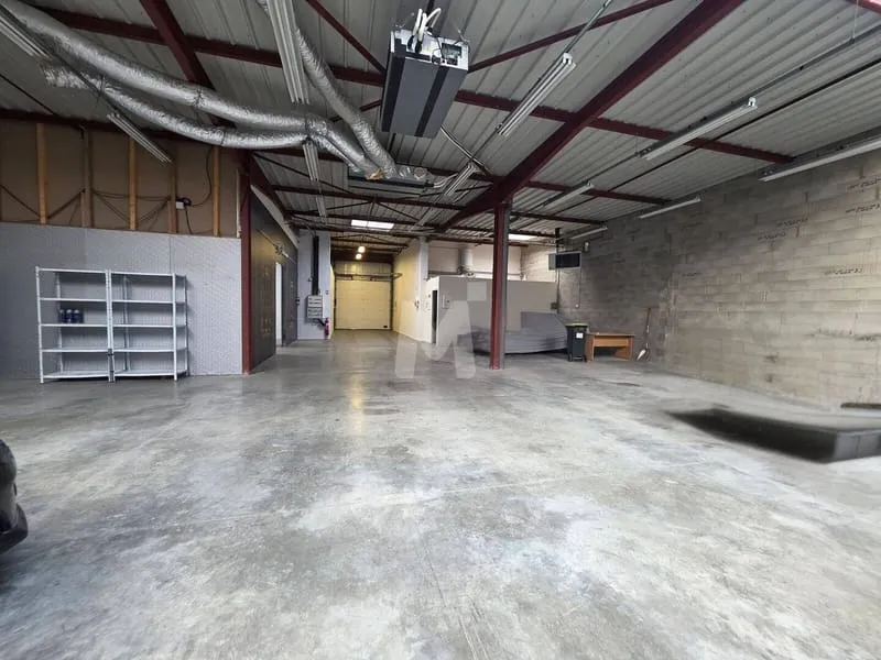 Photo 6
