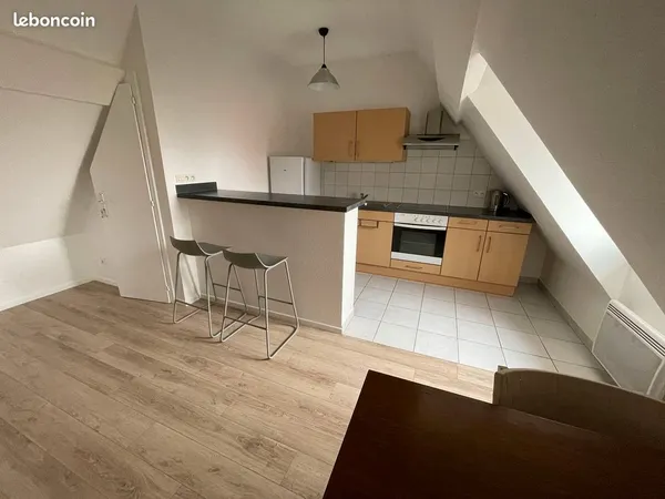 Superbe 2 pièces refait à neuf, vendu loué