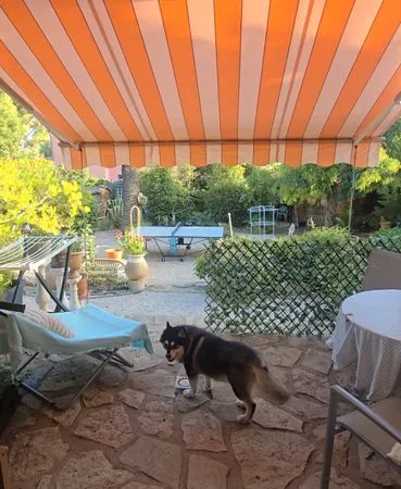 Studio terrasse et jardin 6mois