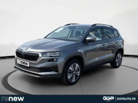 Skoda Karoq 2.0 tdi 116ch scr business dsg7