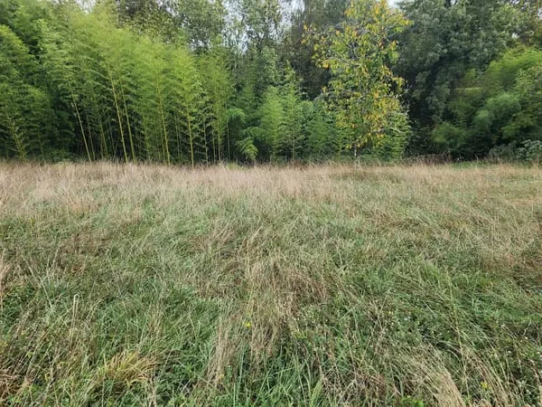 EXCLUSIVITÉ HAUT DE BOSDARROS, A VENDRE Terrain 1200 m²