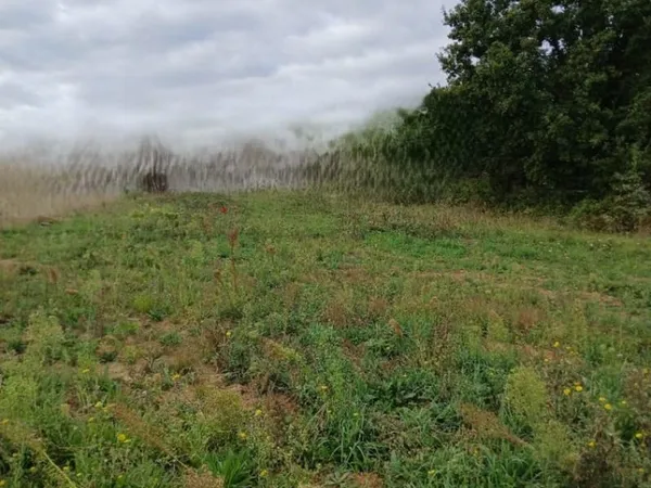 Terrain 461 m²