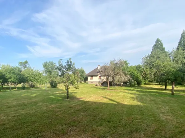 Terrain 6444 m²