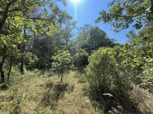 Terrain 1101 m²