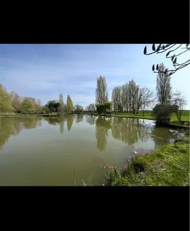 Superbe étang de plus de 9000m2