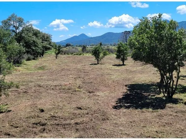 Argeles s/mer terrain agricole 3240 m2