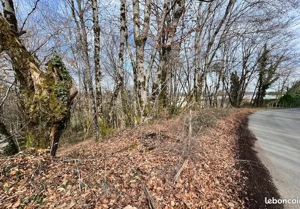 Terrain boisé constructible avec CU de 2000 m² (+ si besoin)