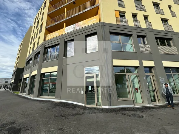 Local professionnel 302 m²