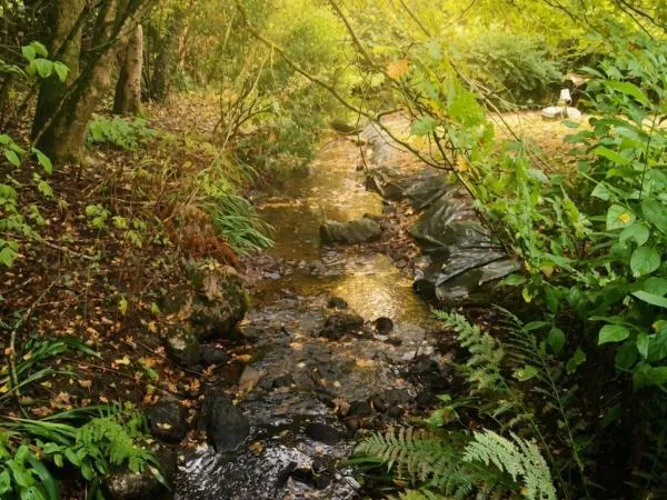 Propriété pleine de charme avec dépendances, mare, bois et ruisseau