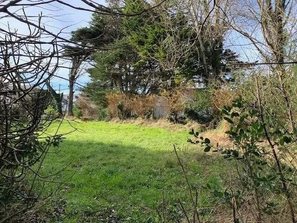 Terrain 704 m²