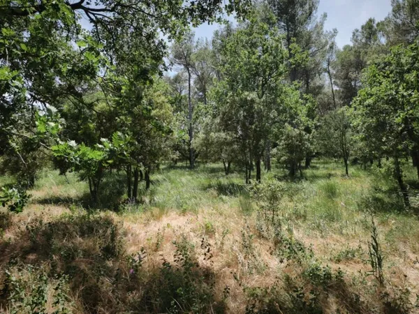 Terrain 655 m²