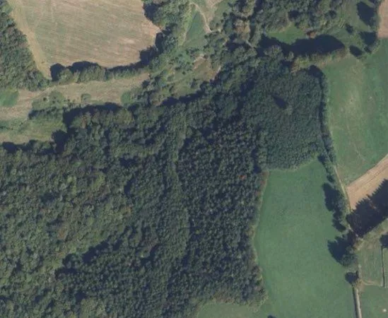 Parcelle de bois - Douglas / Acacia