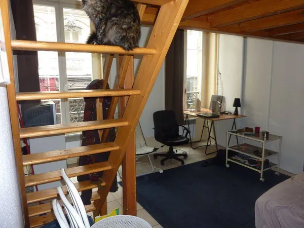 Appartement 2 pièces 48 m²