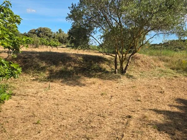 Ensemble de parcelles vigne + terrain attenantes en pleine campagne
