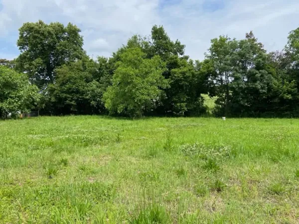 Terrain 767 m²