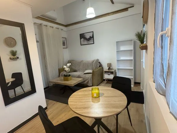 Appartement meublé climatisé avec terrasse privative et accès au Clain