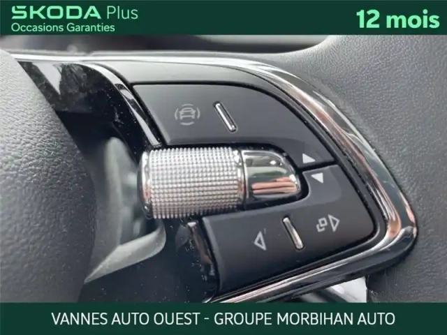 Skoda Enyaq iv 80 — photo 16