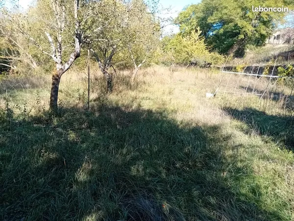 Vends Verger / Potager