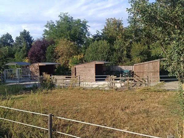 Location petite écurie