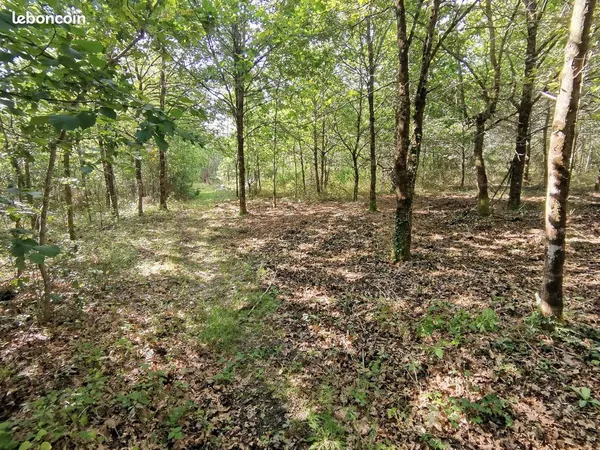 Terrain parcelle de 8000 M2 à Romorantin
