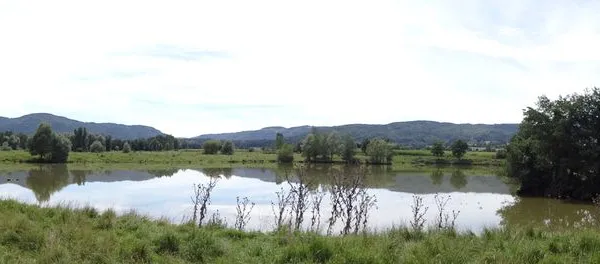 Etangs de peche base loisir