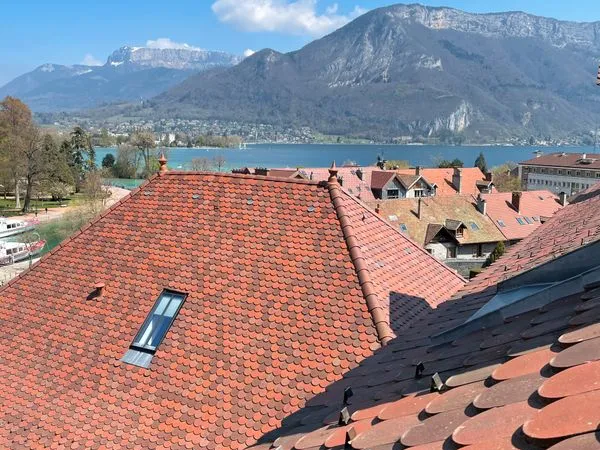 Studio meublé 27 m² rénové, vue sur le Thiou et le lac, vieille ville d'Annecy, ascenseur, fibre inc