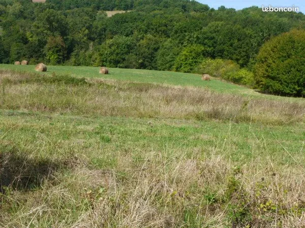 Terrain agricole