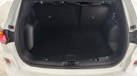 Ford Kuga 2.5 Duratec 190ch FHEV E85 ST-Line BVA — photo 14