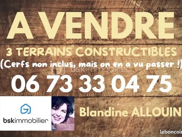 Terrain 4 700 m² La Ferte Saint Cyr