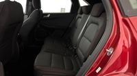 Ford Kuga 2.0 EcoBlue 150ch mHEV ST-Line — photo 13