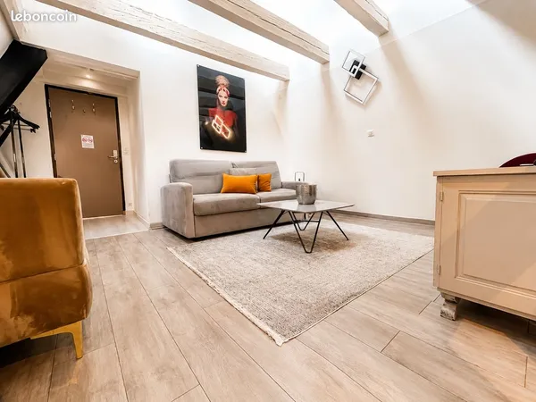 Duplex atypique au coeur de Strasbourg - 65,61 m² au sol - vendu meublé