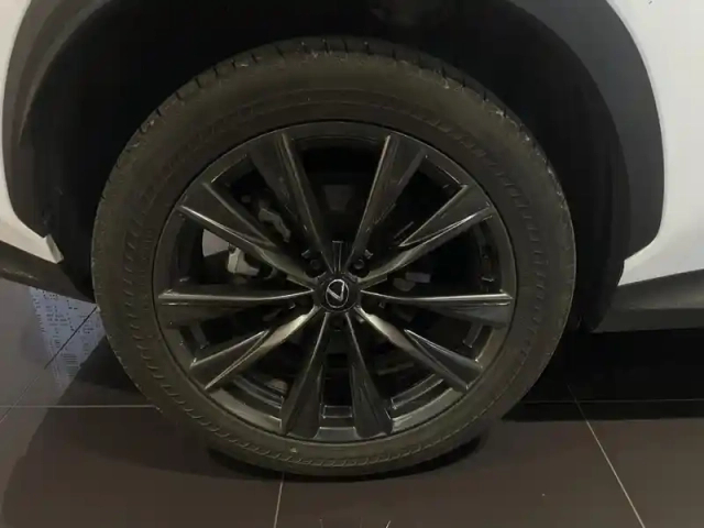Lexus Nx 450h+ f sport executive 4wd my24 — photo 11